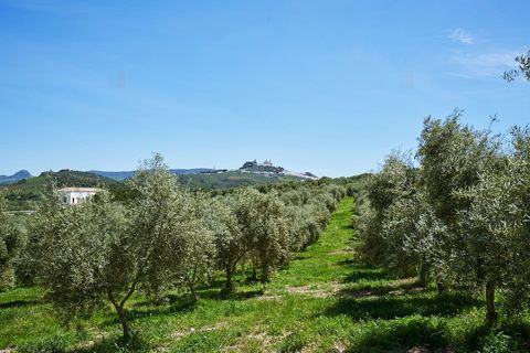 Landejendom i Olvera, Cadiz, Olvera - € 450.000 | Ref: C00OLVK890 - foto 5